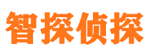 鼎湖外遇出轨调查取证